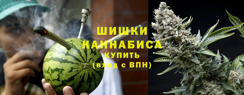 Конопля White Widow  ОМГ ОМГ сайт  Гатчина  продажа наркотиков 